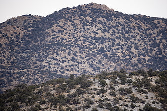 Arid rocky mountain landscape with scattered shrubs and dry terrain