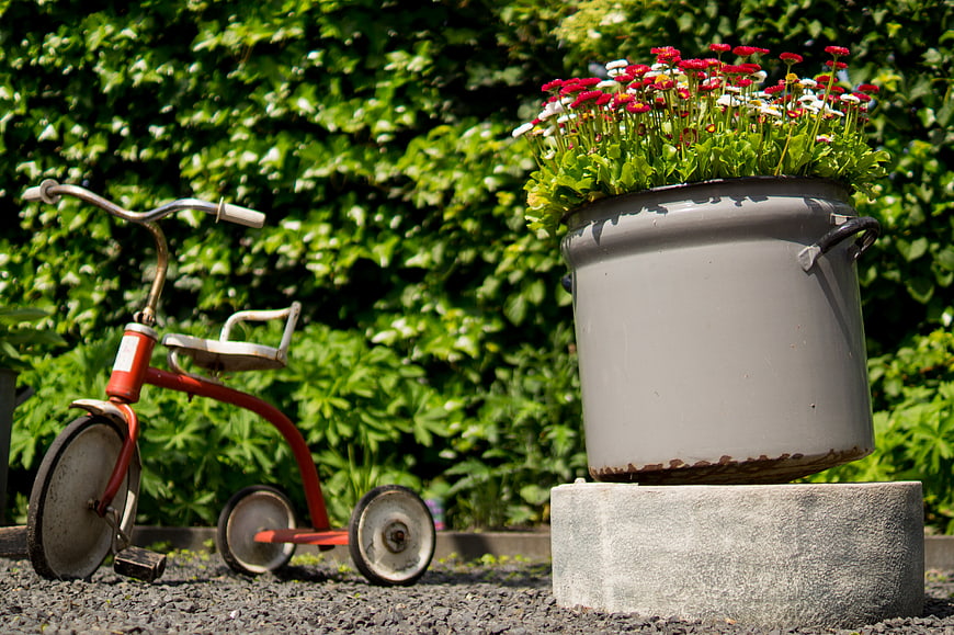 Vintage red tricycle and flower pot in garden