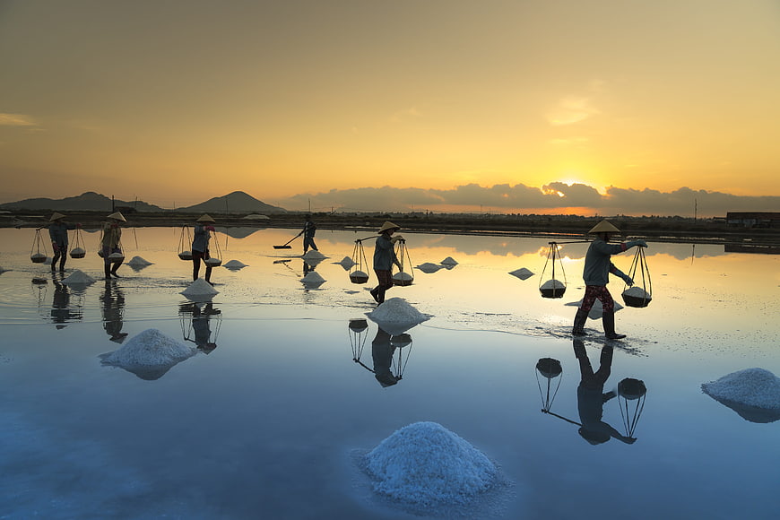 Salt farmers harvesting at sunrise in Vietnam