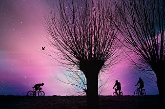 Silhouetted Cyclists Riding Past Bare Trees Under Starry Twilight Sky