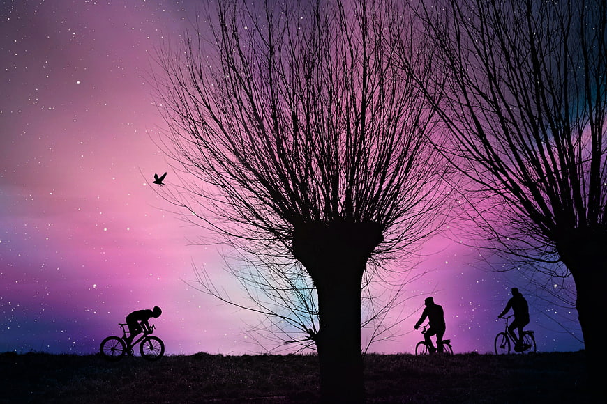 Silhouetted Cyclists Riding Past Bare Trees Under Starry Twilight Sky