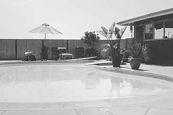 Black and white backyard pool with patio furniture and plants