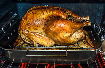 Roasted Turkey in Oven with Glowing Heating Element