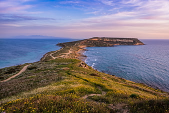 Scenic coastal landscape with winding path and wildflowers