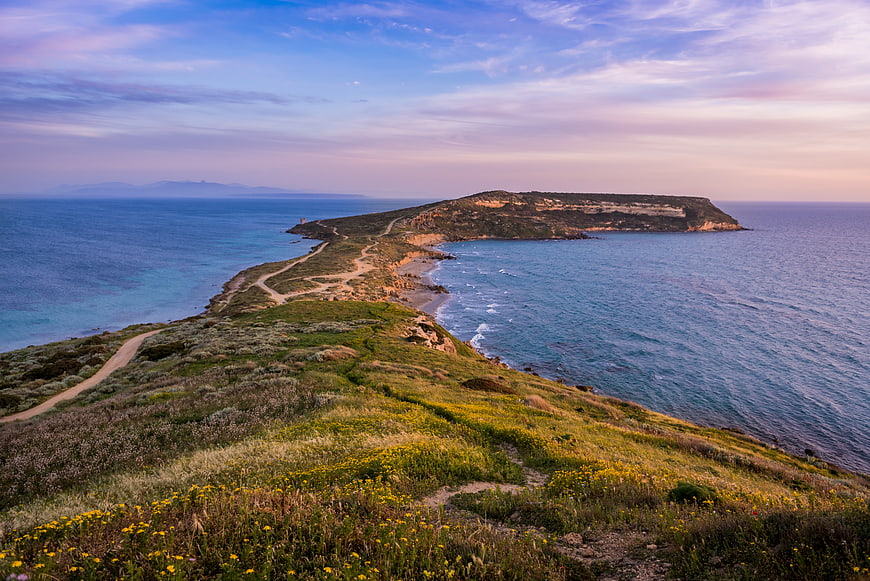 Scenic coastal landscape with winding path and wildflowers