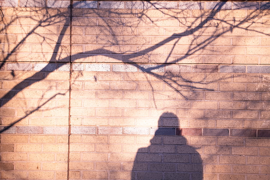 Shadow of Man and Tree on Brick Wall