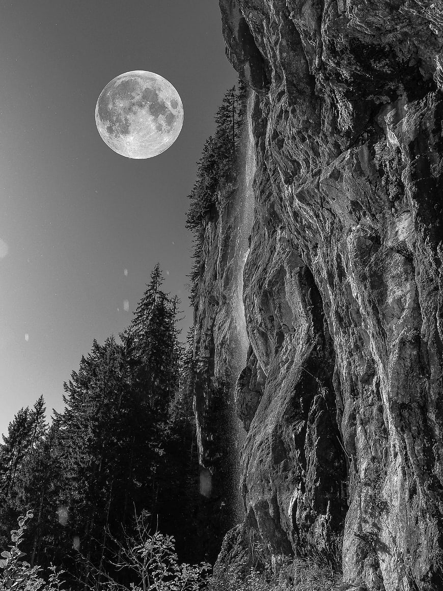 Full moon rising over a rugged mountain cliff and pine forest