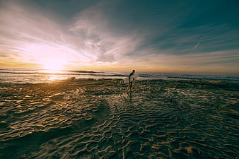 Surfer walking on wet sand beach at sunset with surfboard
