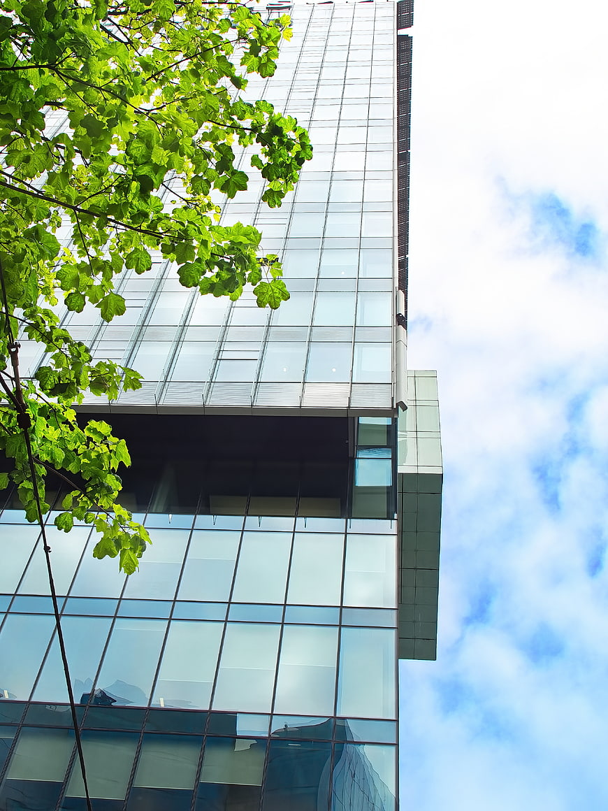 Modern Glass Office Building with Green Tree Leaves