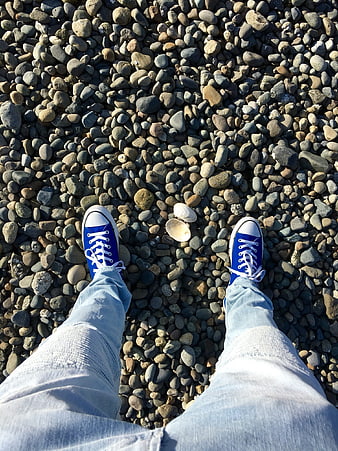 Blue sneakers on pebble beach with seashells