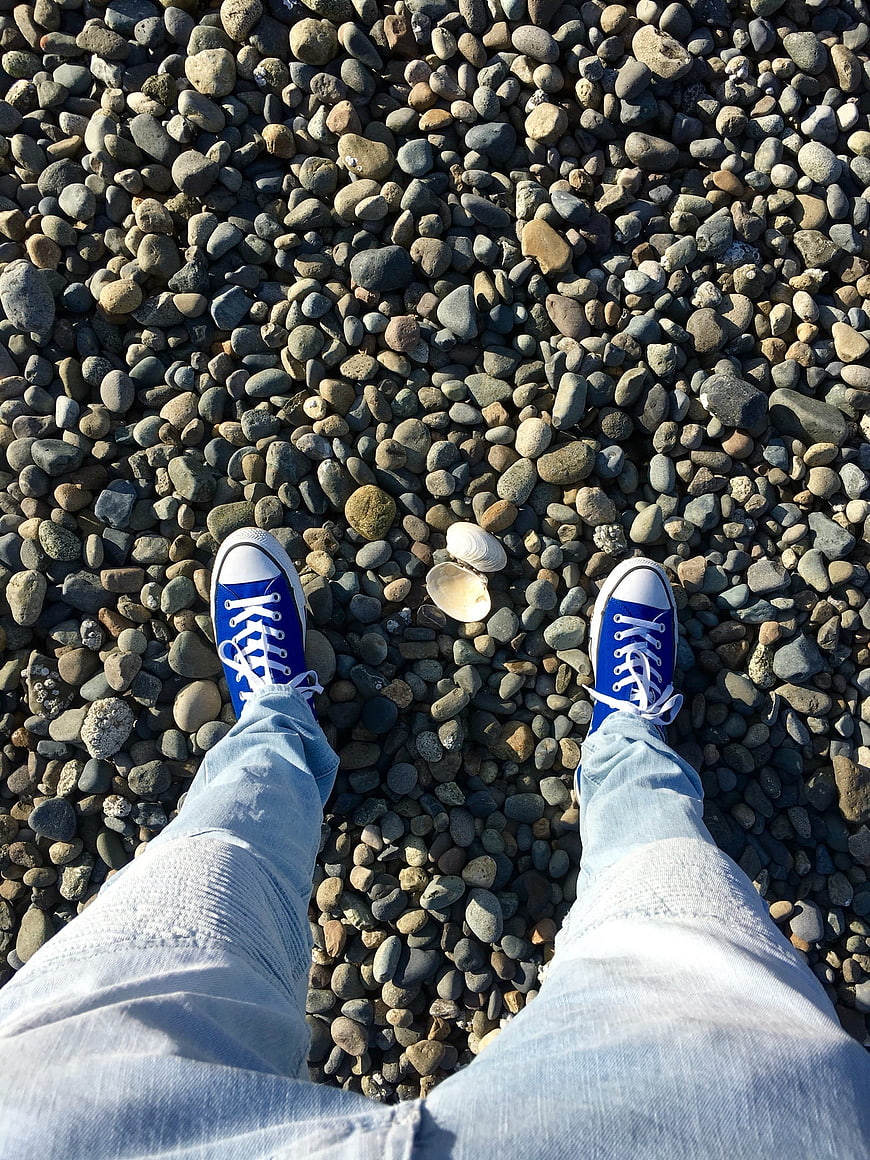 Blue sneakers on pebble beach with seashells