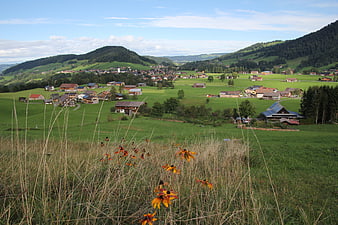 Scenic Alpine Village in Green Valley with Wildflowers