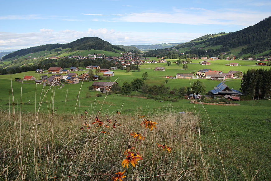 Scenic Alpine Village in Green Valley with Wildflowers