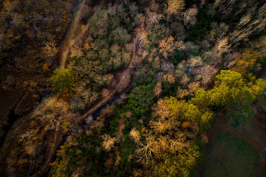 Aerial View of Forest with Stream in Autumn