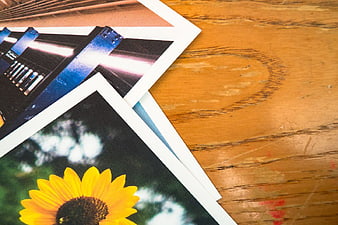 Stack of printed photos on wooden table with sunflower