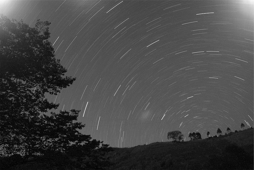 Black and White Star Trails Over Silhouetted Trees