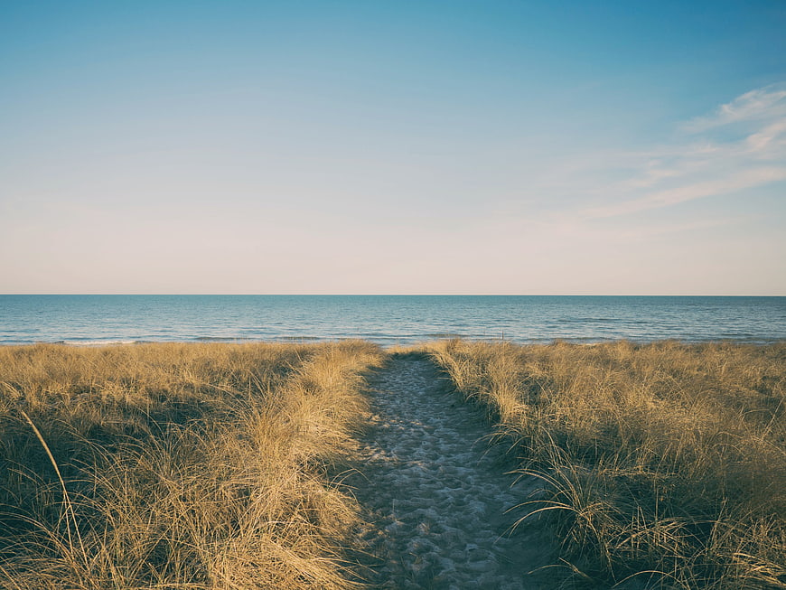 Sandy Path Through Beach Dunes to Ocean Horizon