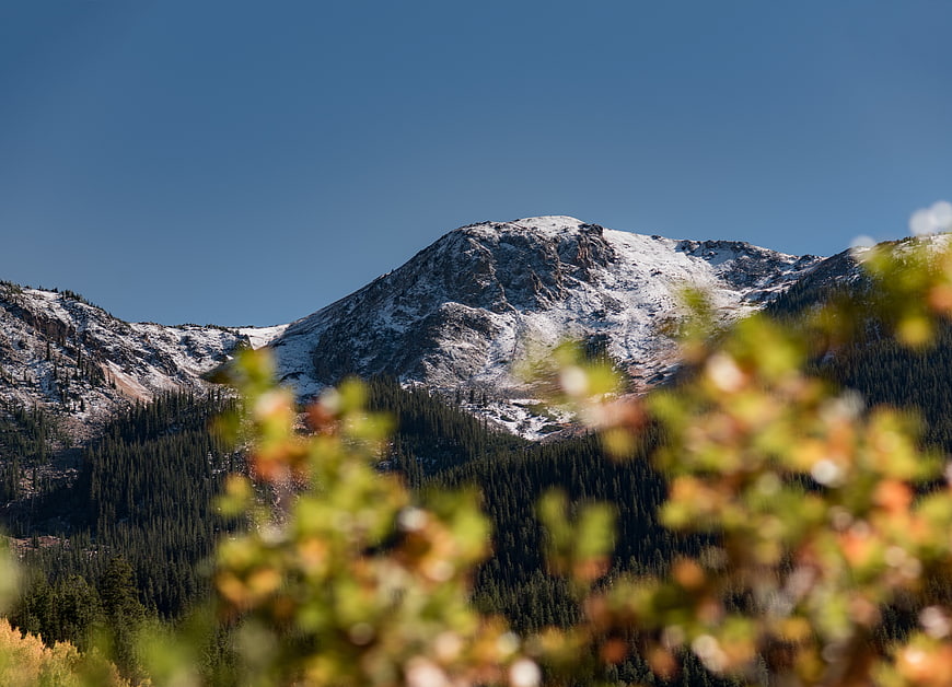 Snow-Capped Mountain Peak with Autumn Foliage Foreground