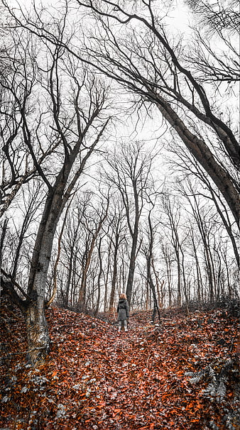Woman walking through autumn forest with orange leaves