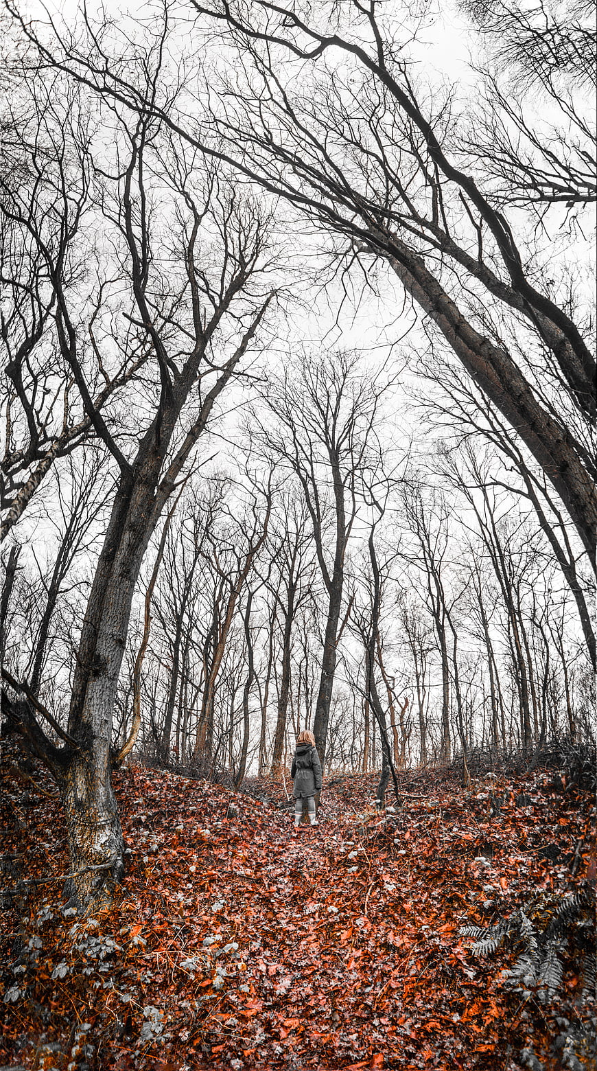 Woman walking through autumn forest with orange leaves