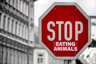 Stop Eating Animals sticker on red traffic sign
