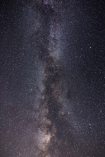 Vertical Milky Way Galaxy in Starry Night Sky