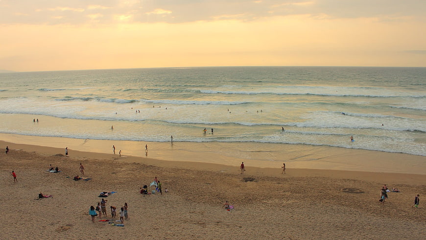 Wide View of Beach with People Swimming at Sunset