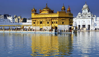 Golden Temple Amritsar Reflection in Sacred Pool