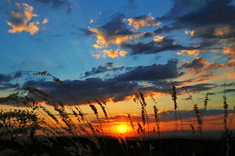 Dramatic Sunset Over Silhouetted Wild Grasses