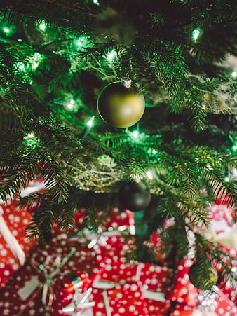 Close-up of Christmas tree with gold ornament and red gifts