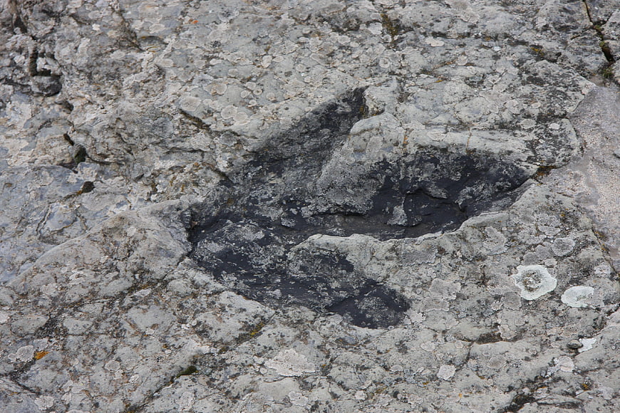 Dinosaur Footprint Fossil Imprint On Weathered Limestone Rock Surface