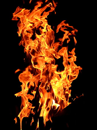 Vibrant Orange Flames Burning Against Black Background
