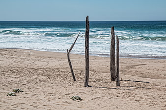 Weathered wooden posts standing on a sandy beach with ocean waves