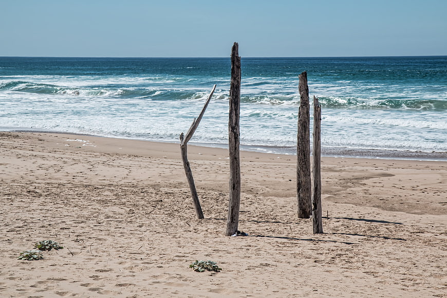 Weathered wooden posts standing on a sandy beach with ocean waves