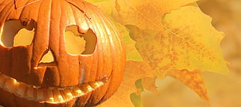 Carved Halloween Pumpkin with Autumn Leaves