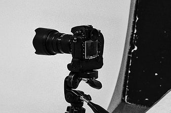 Professional DSLR Camera on Tripod in Black and White