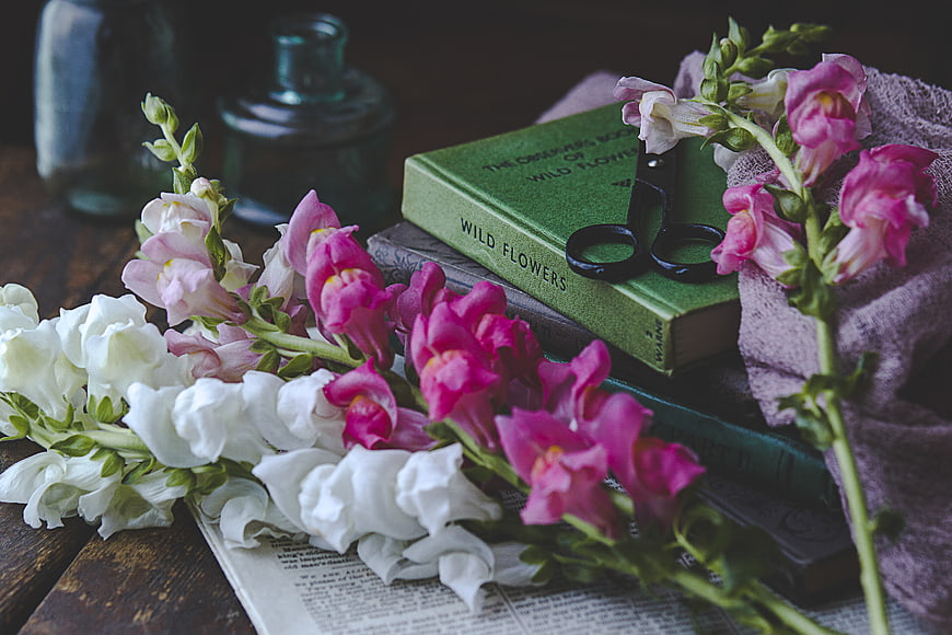 Vintage wildflower book with pink and white snapdragons