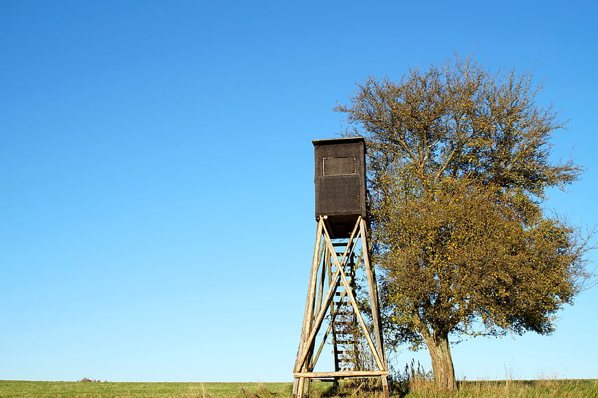 Wooden hunting high seat tower in autumn meadow