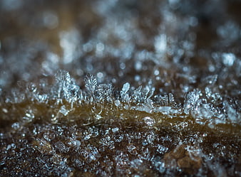 Macro close-up of intricate frost crystals on a textured surface