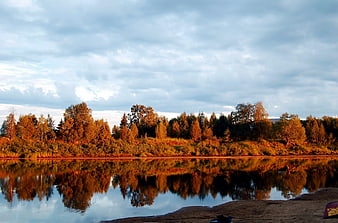Serene Lake Reflection with Golden Hour Forest Trees