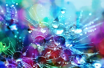 Abstract colorful water droplets on spider web with bokeh background