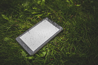 Wet tablet computer lying on green grass