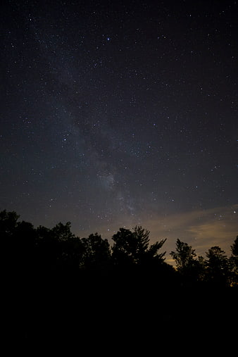 Milky Way Galaxy Over Silhouetted Forest at Night