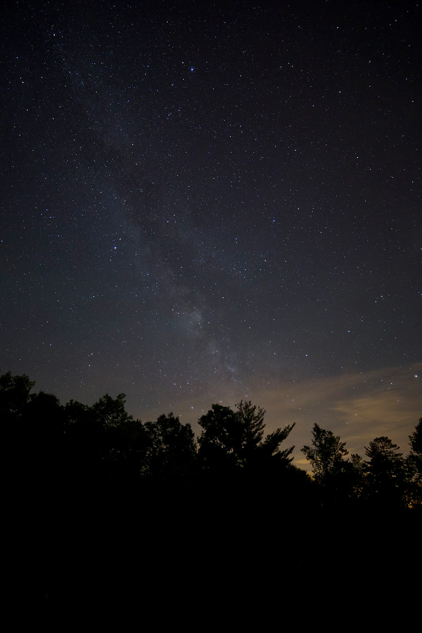 Milky Way Galaxy Over Silhouetted Forest at Night