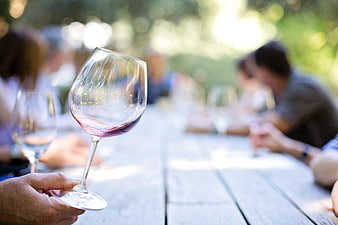 Hand holding wine glass at outdoor picnic table