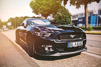 Black Ford Mustang GT parked on a sunny street