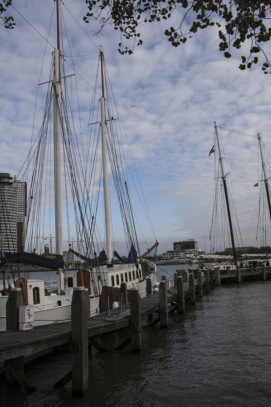 Traditional sailing ships docked at Rotterdam harbor