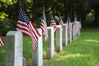 American Flags on Military Gravestones in a Cemetery