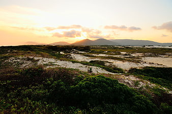 Sunset over coastal dunes with green vegetation and distant mountains