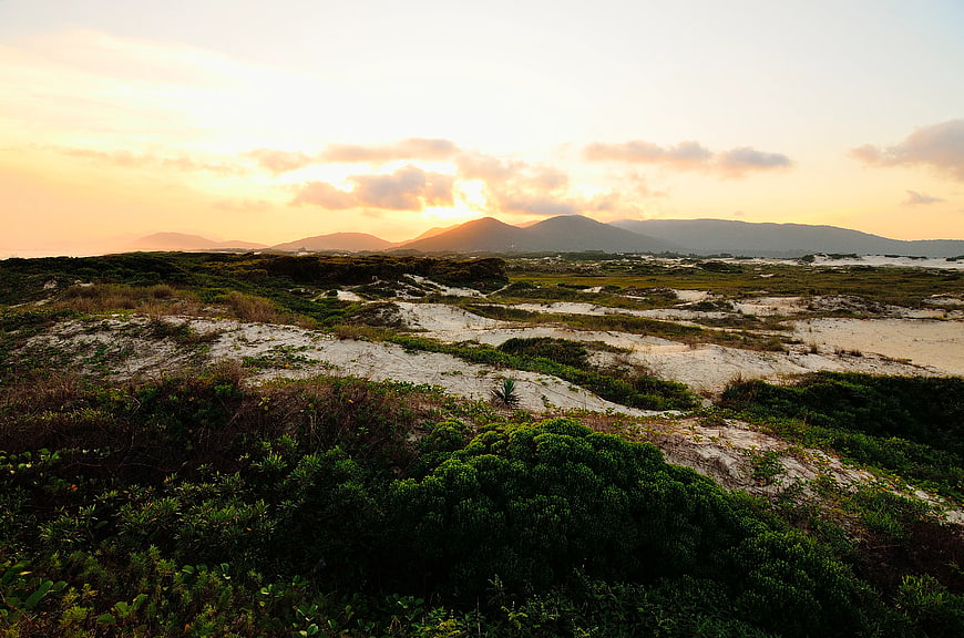 Sunset over coastal dunes with green vegetation and distant mountains